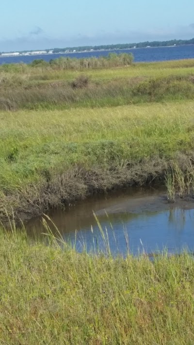 Photos of Bald Point State Park