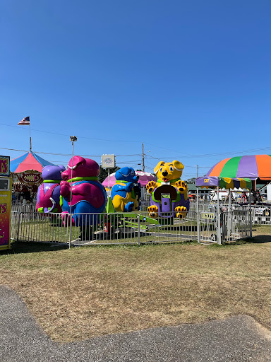 Windsor Fair - Visual