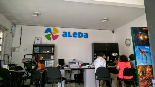 Viajes Aleda - Visual