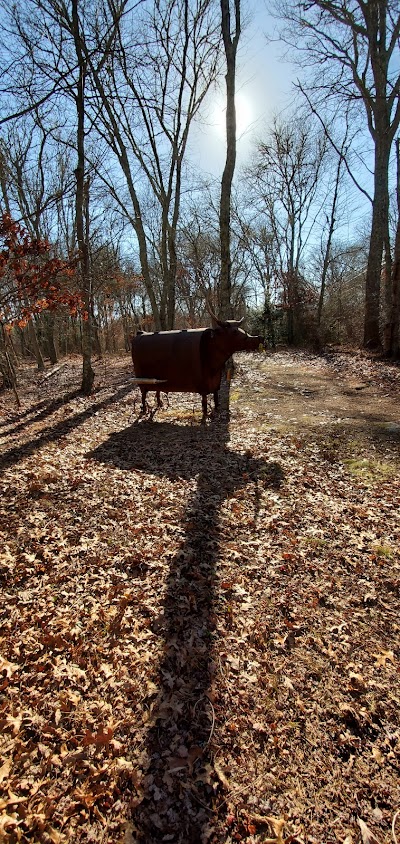 Sculpture Trail