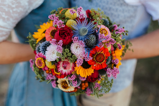 Blumen Biller - Visual