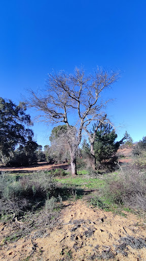 Vía Verde de los Molinos del Agua - Thumbnail