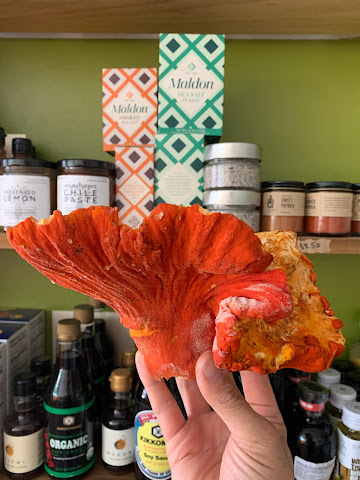 THE mushroom shop by null