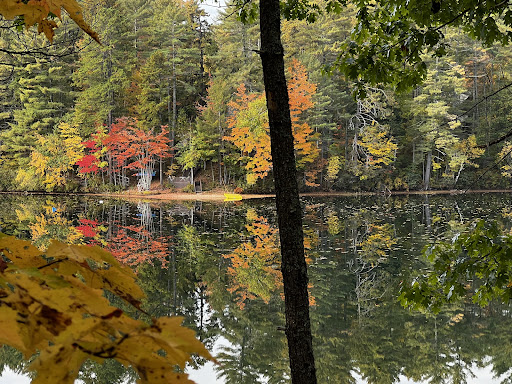 Eagles Nest Cabin - Thumbnail