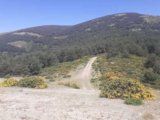 Alto del casetón - Thumbnail
