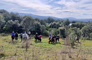 Photo n°22 de Ferme de Lamoure (balade à poney) à Villebazy (Service de tours de poneys)