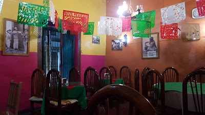 Photos of Cactus