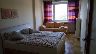 Photos of &Scaron;pilberk Castle