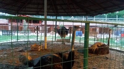 Photos of Şato 79