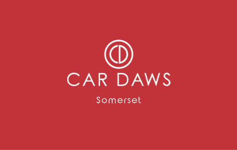 Car Daws - Visual