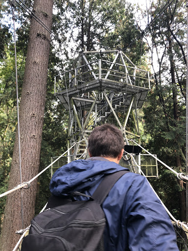 Greenheart TreeWalk Logo