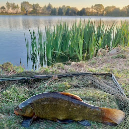 Photo n°6 de Pêcheurs Sportifs de Fougères à Saint-Sauveur-des-Landes (Association ou organisation)