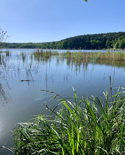 Göhlensee - Visual