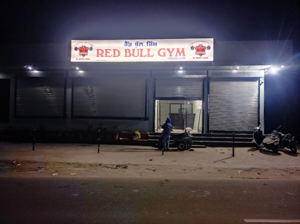 Bull Flex Gym