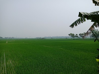 Photos of আলম ইলেকট্টনিক্স এন্ড ফার্নিচার মার্ট