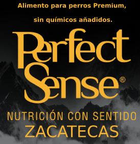 Perfect Sense Zacatecas - Thumbnail