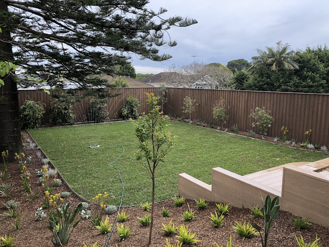 The Beauty of Native Plants in Sydney Landscaping