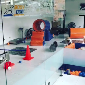 Fotografía de CLINICA DE ESPECIALIDADES VETERINARIAS EL COUNTRY Vídeos