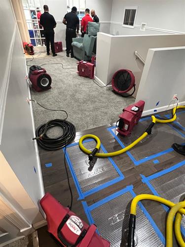 PuroClean of Northeast Sacramento