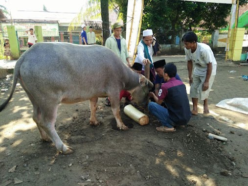 Pondok Pesantren Modern Gaza Al Islami, Author: Misbahuddin Albatawi