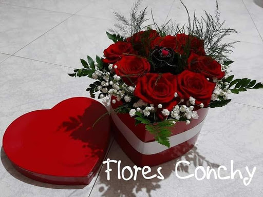 Flores Conchy
