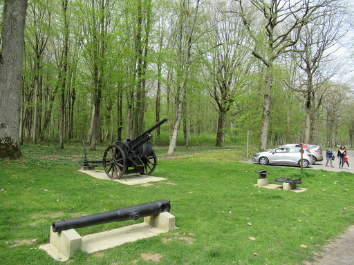 Belleau Wood - Thumbnail