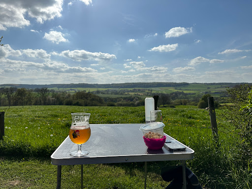 Lingberg - Visual
