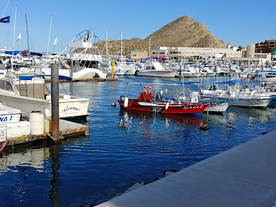Photos of EcoCat Catamaran Tours