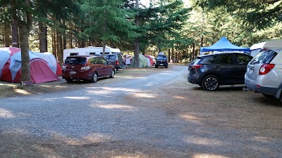 Photos of Rakaia River Holiday Park
