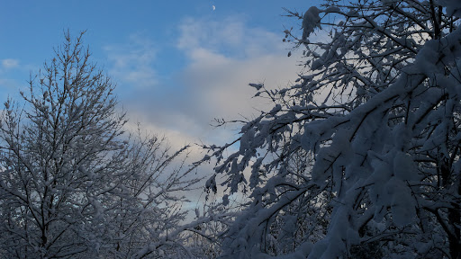 Gemeinde Aura - Visual