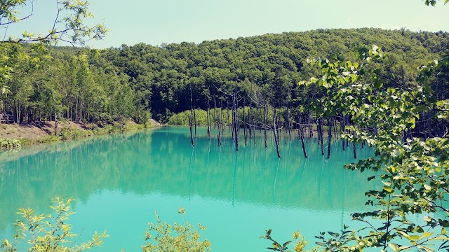 Shirogane Blue Pond