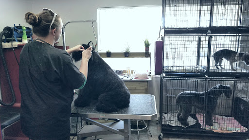Crazy About Pets - Visual