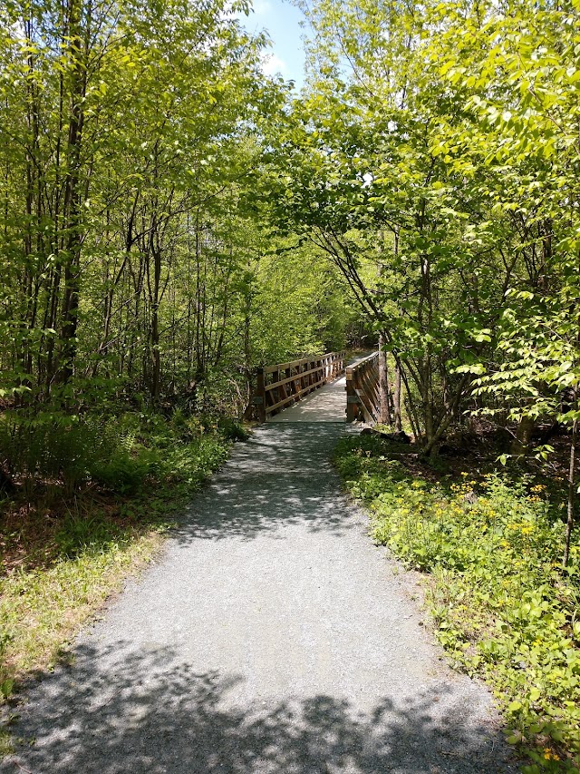 Limberlost Trailhead