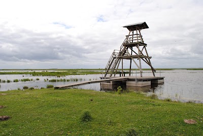 Photos of Savvaļas zalēdāju ganības