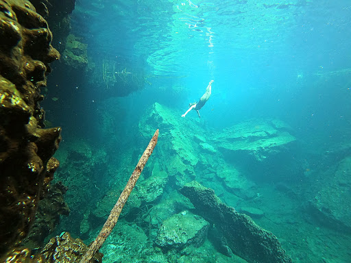 O2 Tulum Tours - Thumbnail