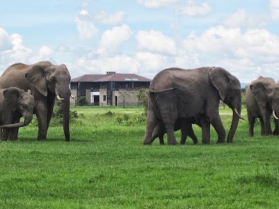Photos of Nanyuki Corner