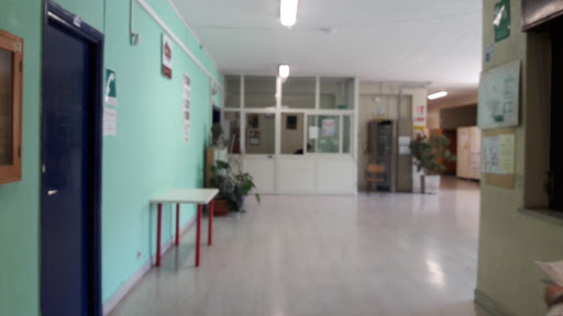 Liceo Vittorio Gassman