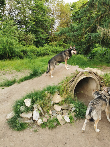 Unser Hundegarten Holzwickede - Thumbnail
