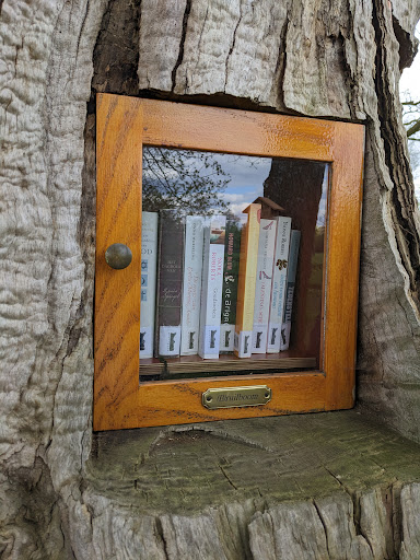 (B)ruil boom, boekenruilboom - Thumbnail