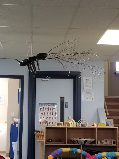 High Level Parent Link Center - Visual