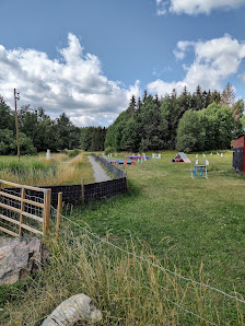 Värmdö Brukshundklubb Poseidons Gränd 1, 134 44 Gustavsberg, Sverige