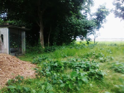 Photos of Doherpara Eidgah Ground