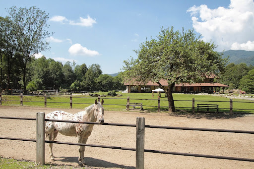 Agriturismo Il Melo Verde - Thumbnail