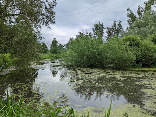 Nordpark / Wienburg Park - Thumbnail