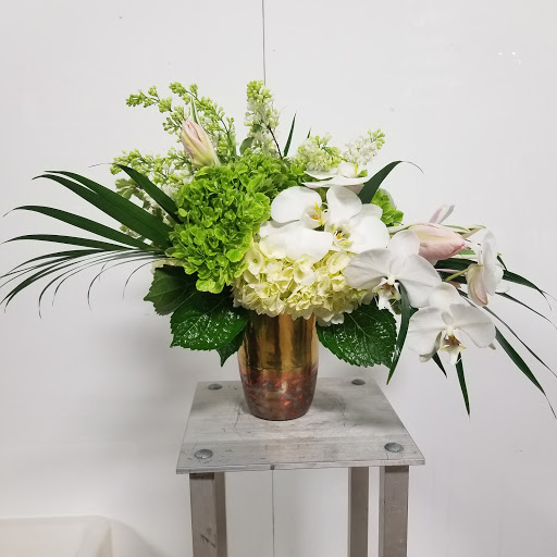 Austintatious Designs, LLC - Visual