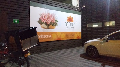 Photos of Arango Flowers
