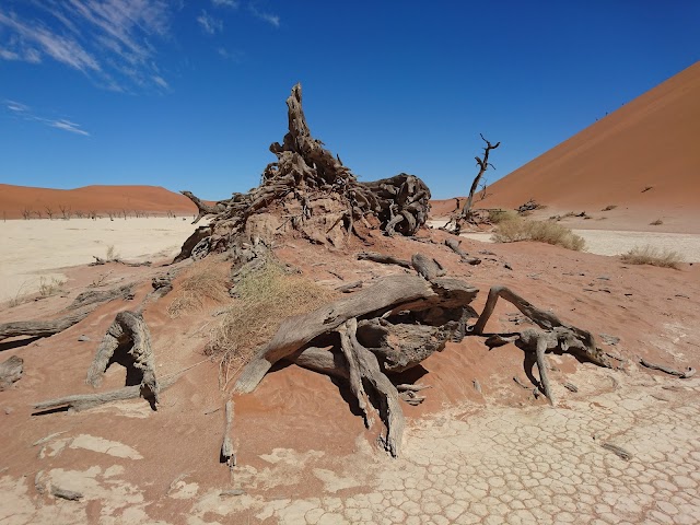 Dead Vlei