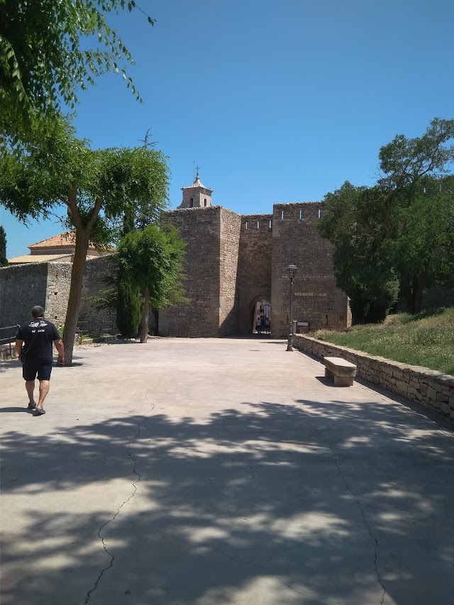 Morella