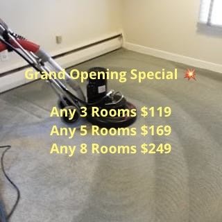 Absolute Carpet Cleaning