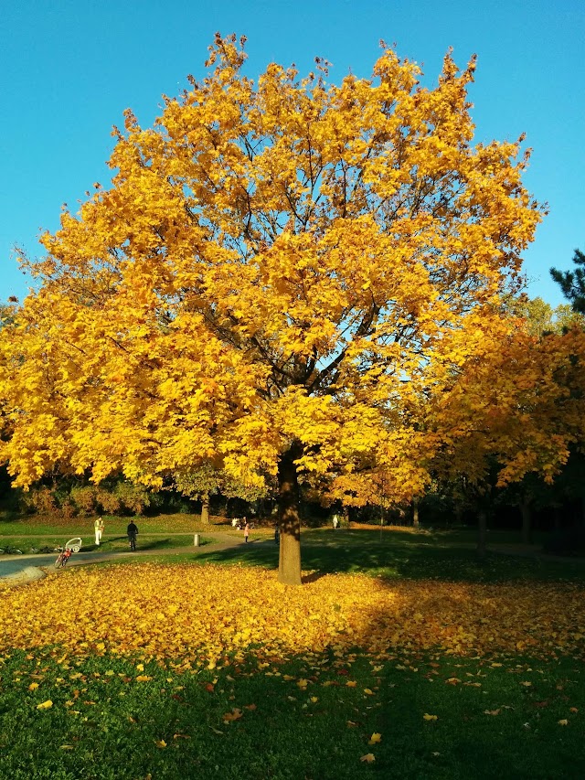 Parc du Drapeau
